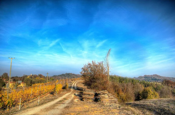 sonbahar renkleri ısı
