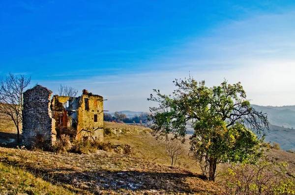 sonbahar renkleri ısı