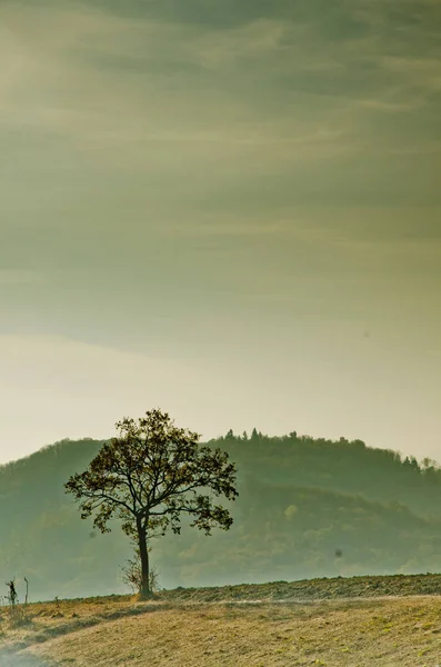 sonbahar renkleri ısı