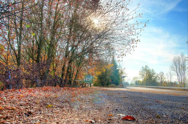 sonbahar renkleri ısı