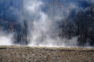 Sabahın erken saatlerinde kırsal manzara