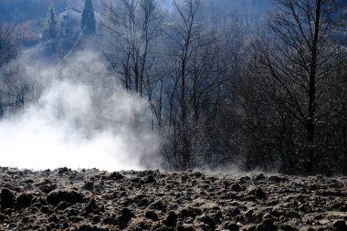 Sabahın erken saatlerinde kırsal manzara