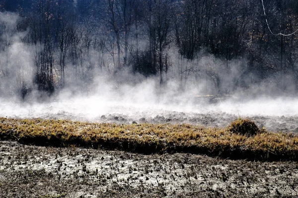 Sabahın erken saatlerinde kırsal manzara