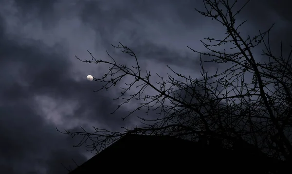 Σελήνη στο την έναστρη νύχτα — Φωτογραφία Αρχείου