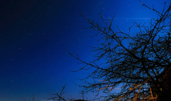 Cielo nocturno cubierto de estrellas — Foto de Stock