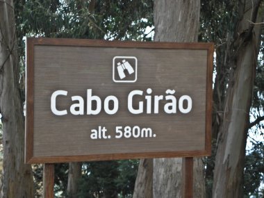 Madeira, Kanarya Adaları'nda görünümünü