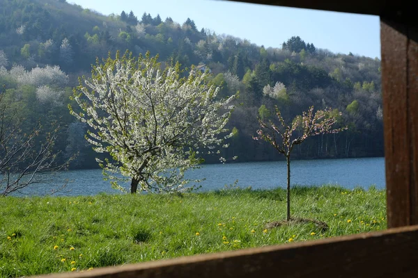 Jezero Tapeta Itálii Jasnými Barvami Jara — Stock fotografie