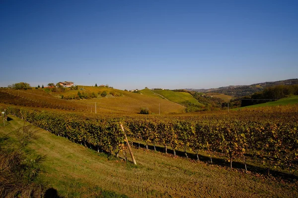 Paesaggi tipici delle Langhe piemontesi — Foto Stock