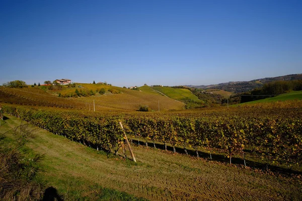 Paisagens típicas do Langhe Piemontês — Fotografia de Stock