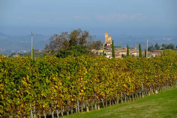 Typical landscapes of the Piedmontese Langhe — Stock Photo, Image