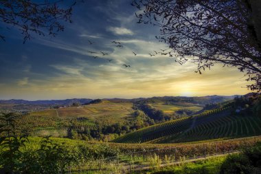 Hasattan sonraki sonbaharda Piedmont Langhe 'nin manzaraları