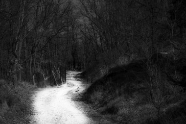 Karanlık bir arka planda sonsuzluğa giden yol siyah ve beyaz