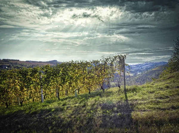 Paisagens Piemonte Langhe Outono Após Colheita — Fotografia de Stock