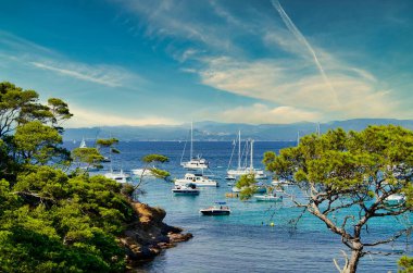Fransa 'daki Porquerolles adasının kıyılarında, Cote d' azur 'da.