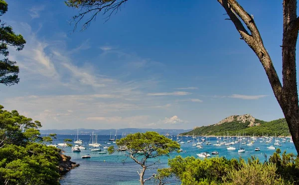 Ακτές Του Νησιού Porquerolles Στη Γαλλία Στο Cote Azur — Φωτογραφία Αρχείου