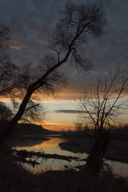 Leadfelss ağacı nehrin yanında