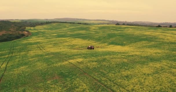 Jordbruk traktor sprutning sommaren Beskär vete sätter — Stockvideo