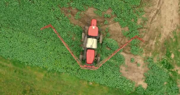 Aerial shot Tractor Sprayers Lays on the Field with a Canola — Stock Video