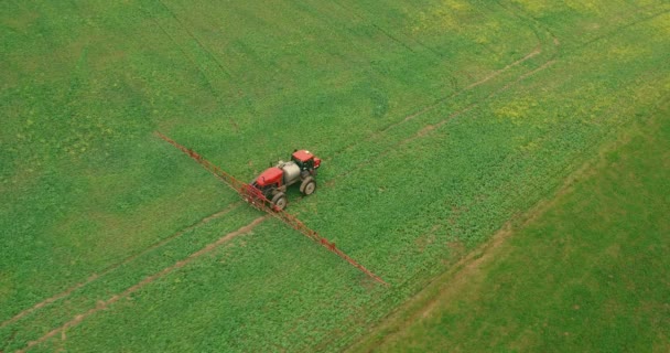 Aérea. Volando sobre el campo con una canola. Agricultura Tractor Spraying Summer Crop Canola Field — Vídeo de stock