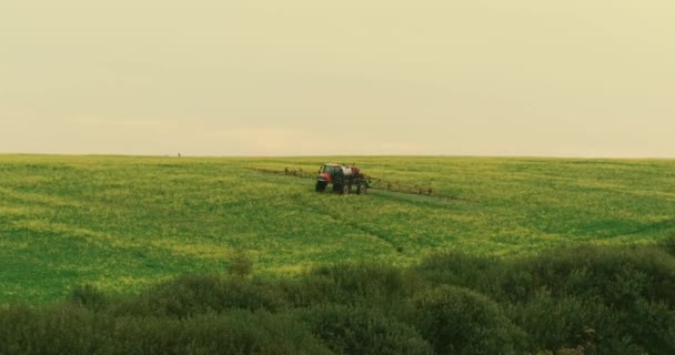 Aérea. Tractor en campo pulverización colza Revelación de vídeo — Vídeos de Stock