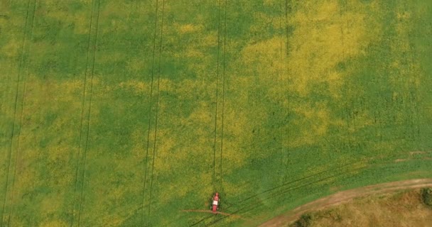 Spray de trator de tiro aéreo coloca no campo com uma canola — Vídeo de Stock