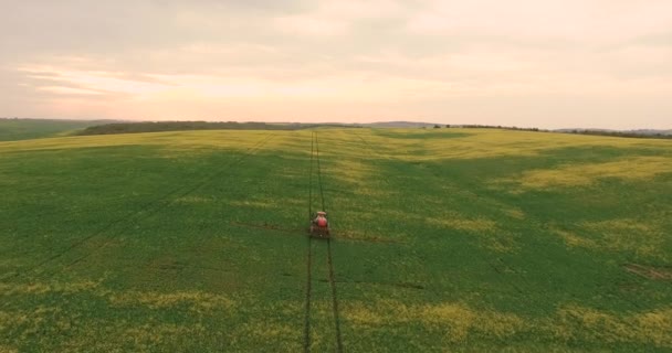 キャノーラとフィールドの上飛んでいます。農業トラクターの夏作小麦畑を噴霧 — ストック動画