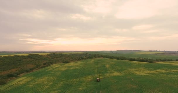 Equipamento de trator de vídeo aéreo Fertilize Spray Agricultura Canola Cultivo Planta Campo perto da floresta ao pôr do sol — Vídeo de Stock