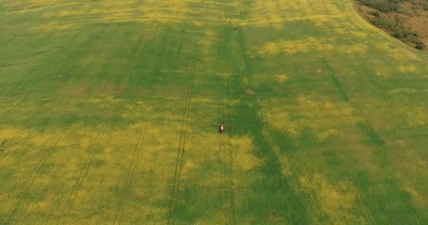 Agricultura Tractor Spraying Summer Crop Canola Field. Imágenes de drones — Vídeos de Stock