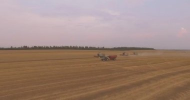 Hasat hava görünümünü sahada birleştiren üç