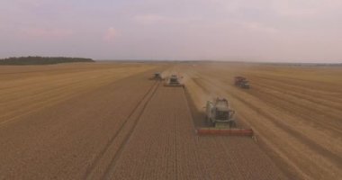 Anteni: Birleştiren üç hasat buğday