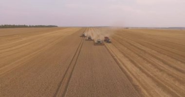 Gün batımında tarlada çalışan hasatçıyı birleştir.