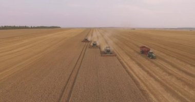 Hasadı Birleştirip Buğday Ürününü Topluyor