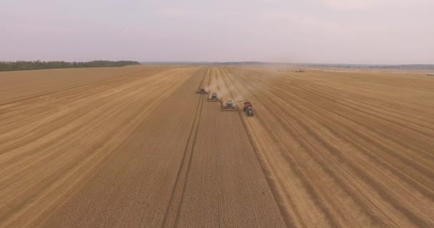 日没時に畑で働くコンバイン収穫機の空中ドローン撮影 — ストック動画