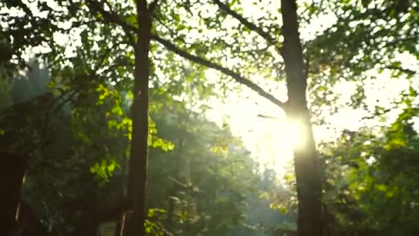 Morgon glimt av solen i bergen — Stockvideo