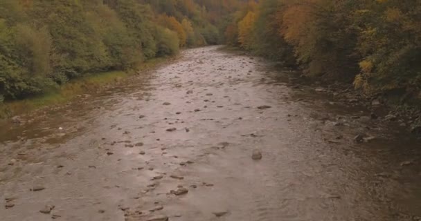 这条河在喀尔巴阡山脉上飞行 — 图库视频影像