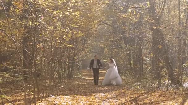 Bruiloft bruid en bruidegom lopen in een herfst bos — Stockvideo