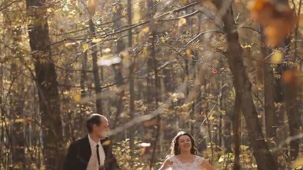 Wedding Bride And Groom Walk in a Autumn Forest — Stock Video