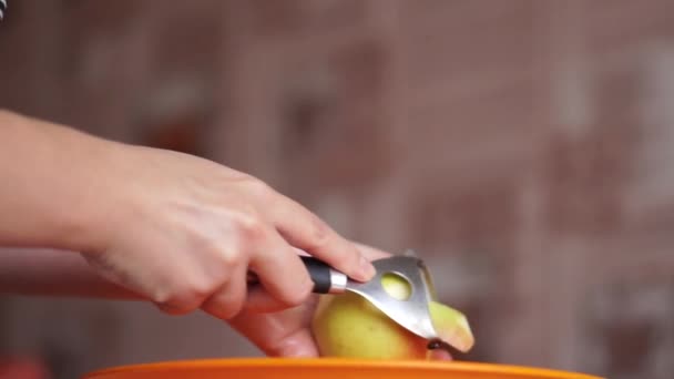 Frau putzt Apfel — Stockvideo