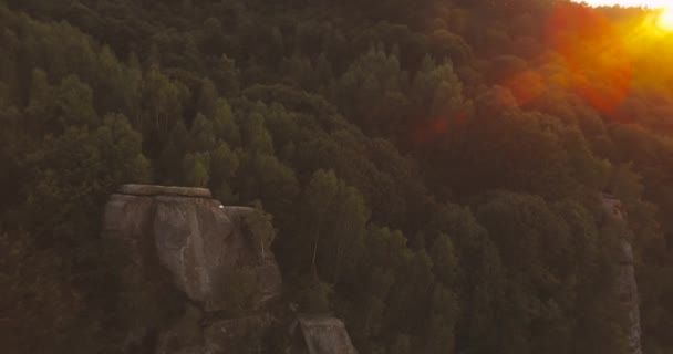 Esküvői pár séta — Stock videók