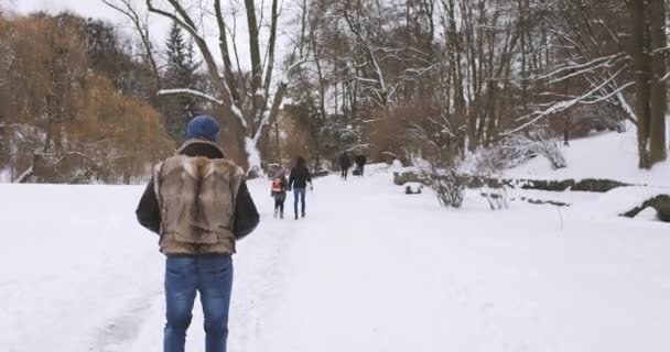 Junge hübsche Spaziergänge Winterpark — Stockvideo