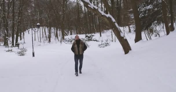 Caminhadas Bonitos Jovens Parque de Inverno — Vídeo de Stock