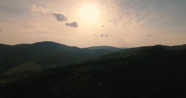 Vlucht boven bos een bergen — Stockvideo