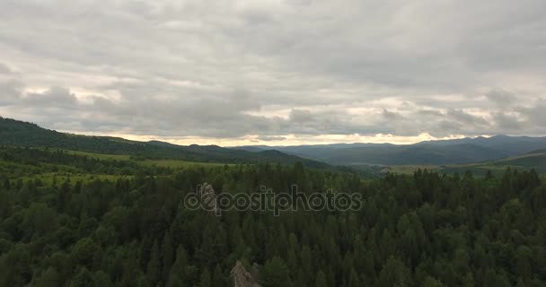 Volo sopra la foresta e montagne — Video Stock