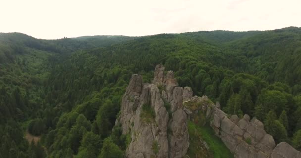 Volar sobre rocas sobre el bosque — Vídeos de Stock