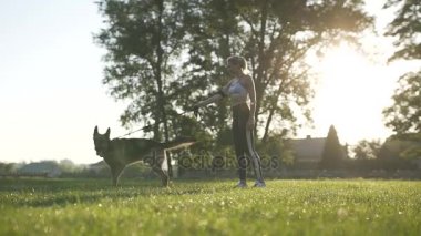 A evde beslenen hayvan yürüyüş sabah