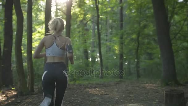 Vrouw die in de ochtend bos loopt — Stockvideo