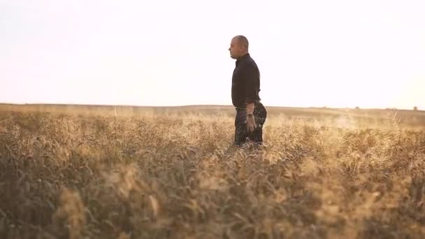 Mann läuft durch Weizenfeld — Stockvideo