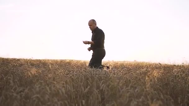 Homem caminhando através do campo de trigo — Vídeo de Stock