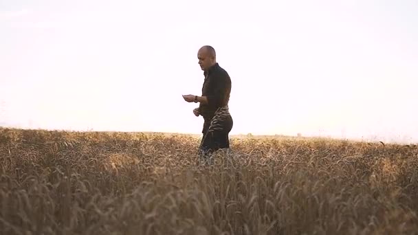 Człowiek idąc przez pole pszenicy o zachodzie słońca — Wideo stockowe