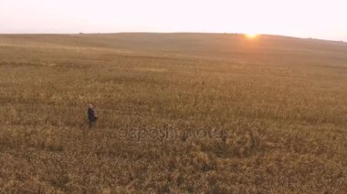 Gün batımında buğday alanı yürüyen adam